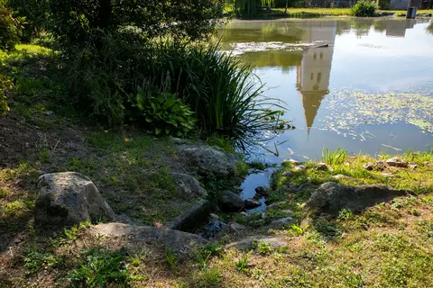 Areál a okolí penzionu