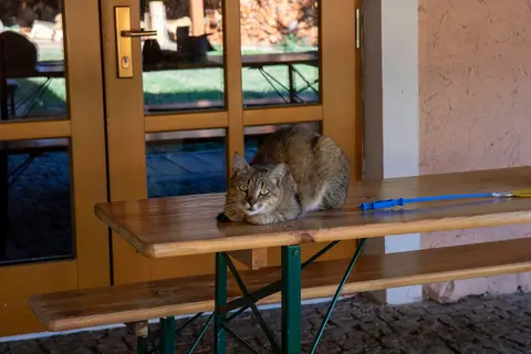 Areál a okolí penzionu