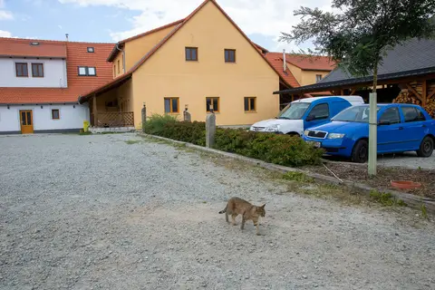 Areál a okolí penzionu