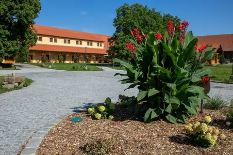 Areál a okolí penzionu