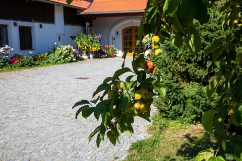 Areál a okolí penzionu
