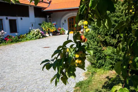 Areál a okolí penzionu