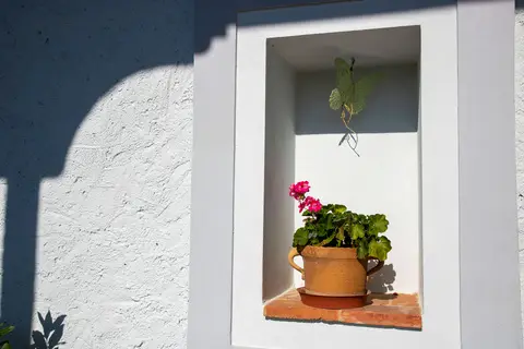 Areál a okolí penzionu
