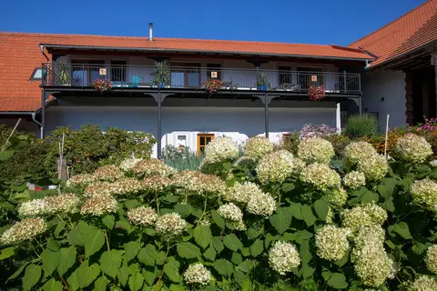 Areál a okolí penzionu