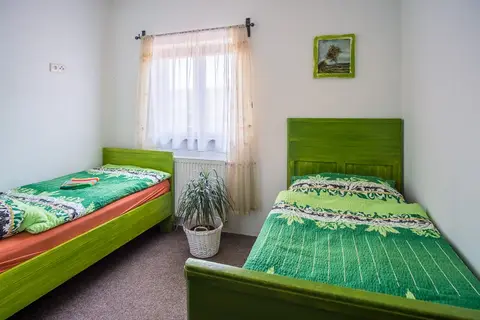 Jednolůžkový pokoj P13